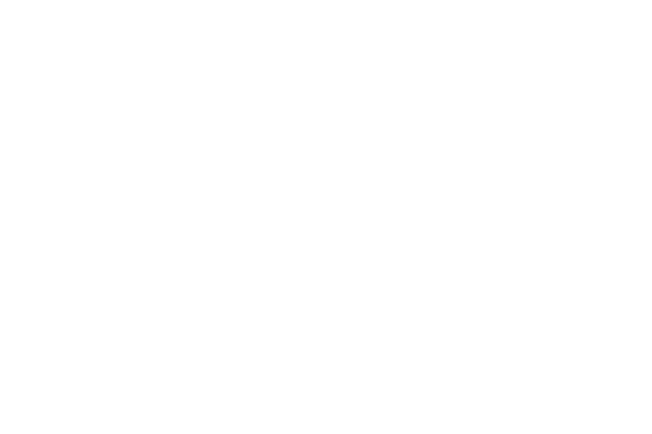 Singular Perturbation